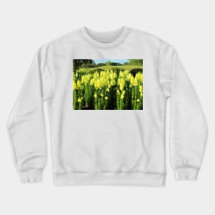 Field Of Yellow Snapdragon Crewneck Sweatshirt